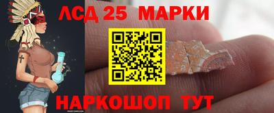 амф Майкоп