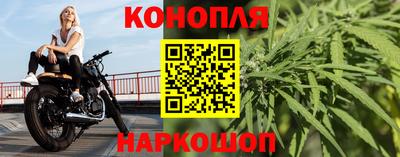 амф Майкоп
