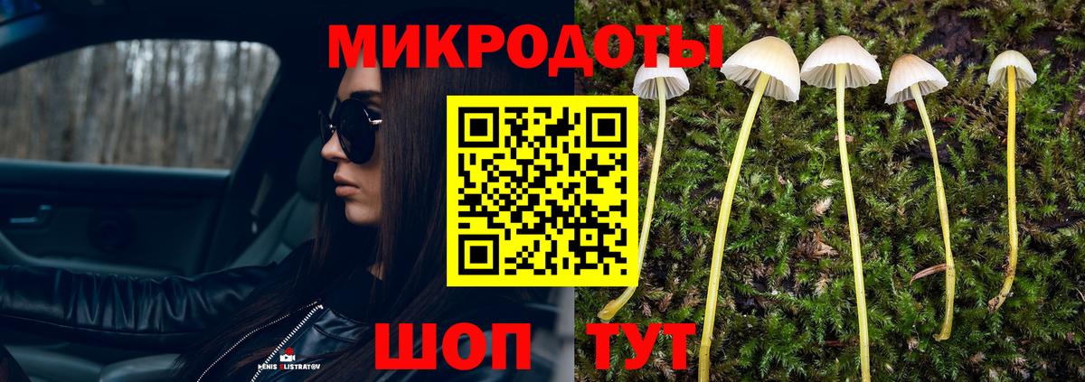 Галлюциногенные грибы Cubensis Костомукша